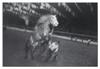 WINOGRAND, GARRY (1928-1984) Select group of 19 photographs,